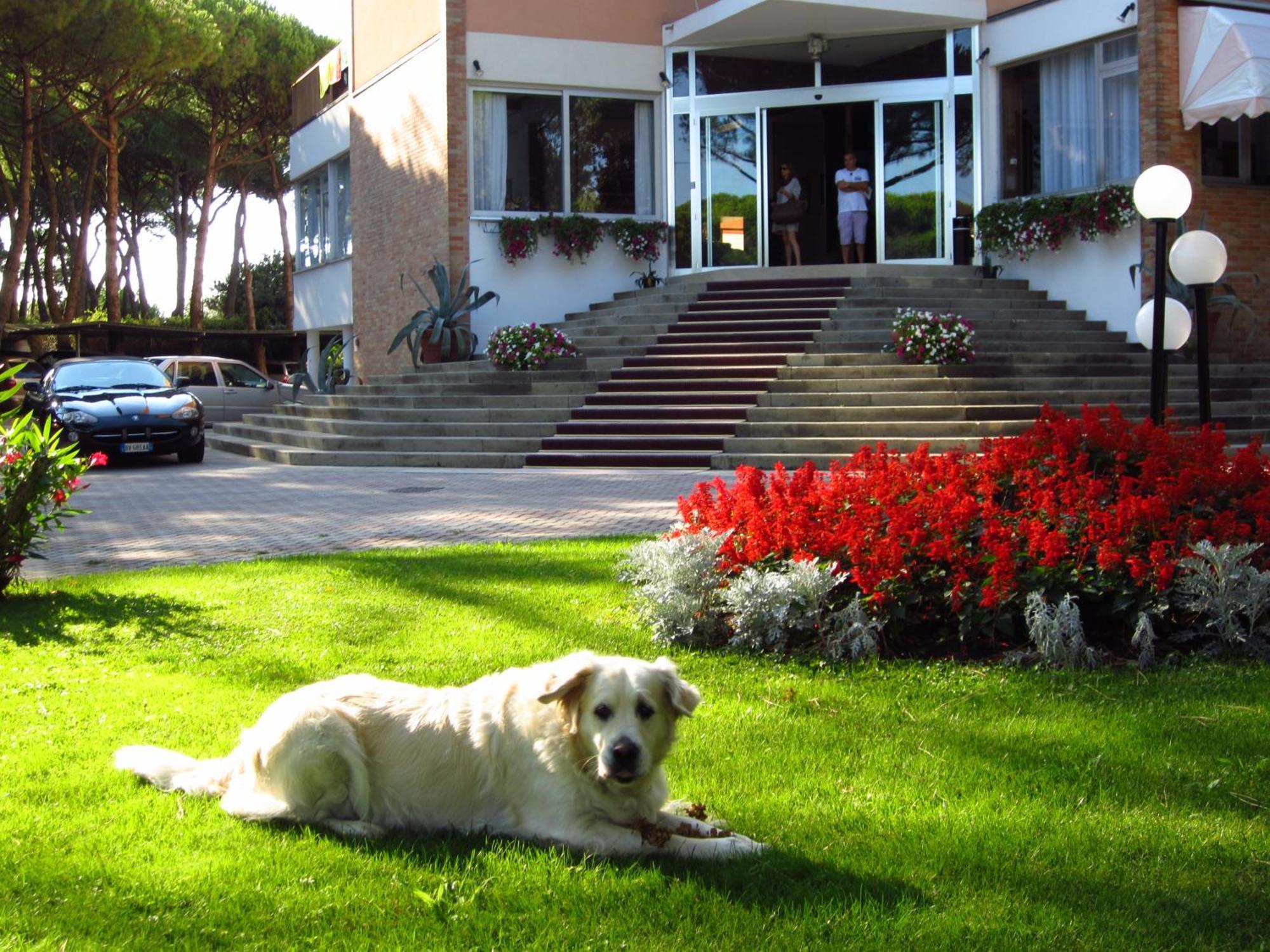 Hotel Beau Rivage Pineta 4*